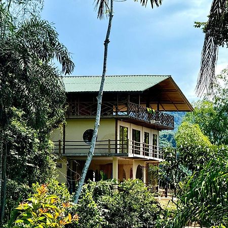 Wisdom Forest Lodge Tena Bagian luar foto