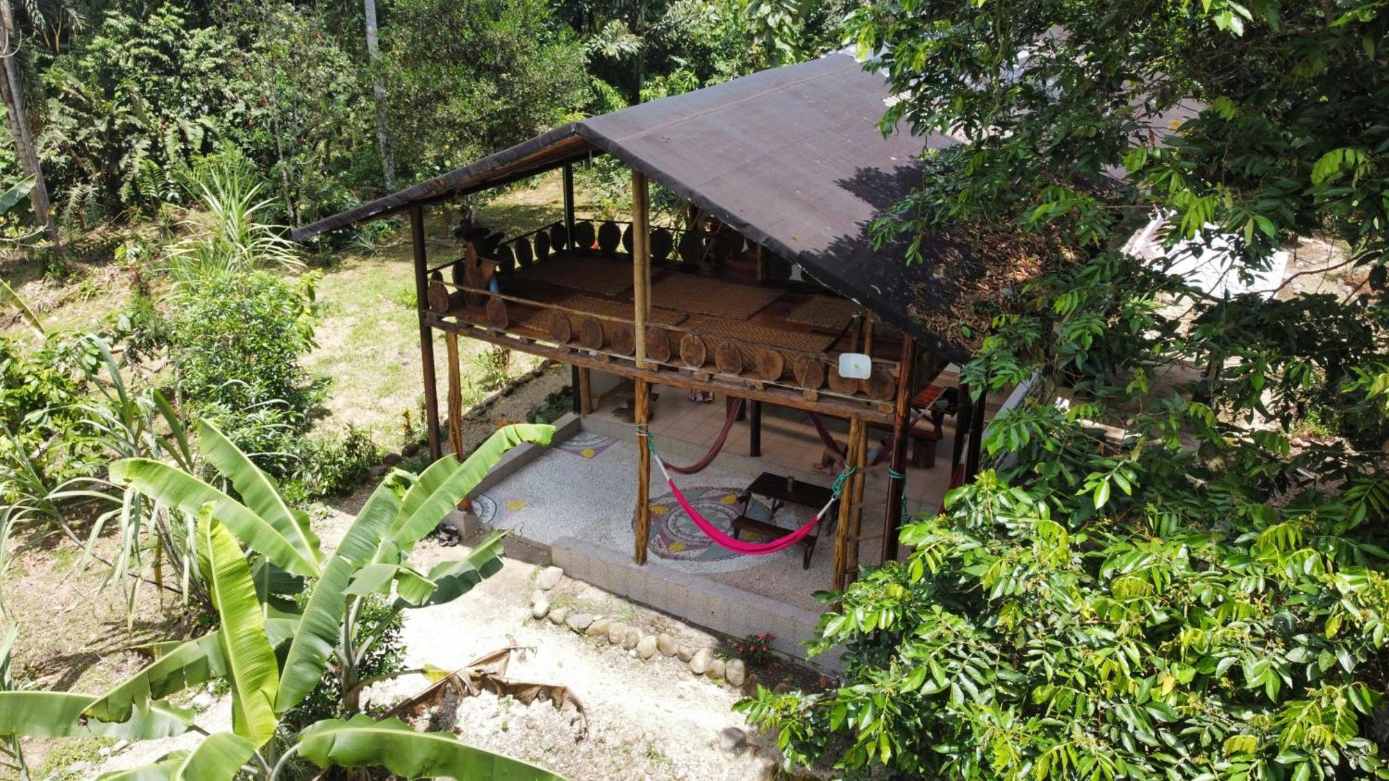 Wisdom Forest Lodge Tena Bagian luar foto