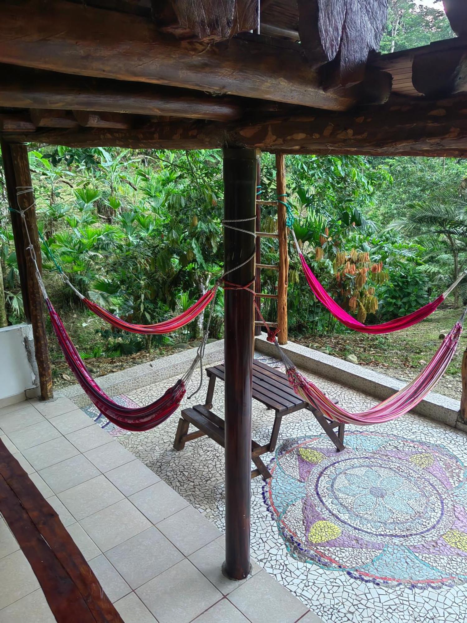 Wisdom Forest Lodge Tena Bagian luar foto